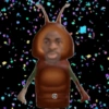 Shitpost Cuaad  21