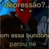 Brabo 13