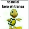 Brabo 9