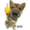 Shitpost Cuaad  12