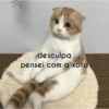 Flerte 7