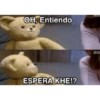 LOS MEMES WTF 👿💥🤑 12