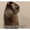 Shitpost Cuaad  19