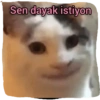 Günaydın 19