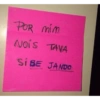 Flerte 11