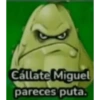 Shitpost Cuaad  8