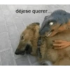 Es hacker  10