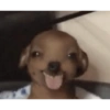 Chuy 6