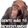 CALOR 14