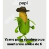 Por favor 19