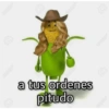 Por favor 20