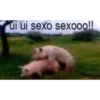 ¿¿¡¡SEXO!!?? 7