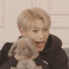 Felix 29