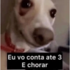 Novidades da semana 12
