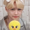 Felix 22