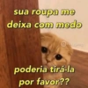 Novidades da semana 6