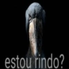 Novidades da semana 5