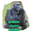 Günaydın 8