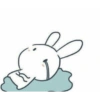 ¥~¥ 8