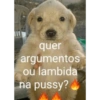 Oh lapada seca 15