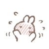 ¥~¥ 11