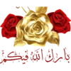 Phool 6