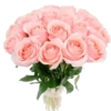 Phool 11