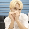 Felix 15