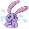 Conejo Cute Pascua 🐰🌸💜 13