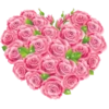Phool 14