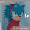 Sonic short quills au 13