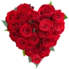 Phool 16