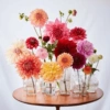 Phool 22