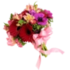 Phool 20