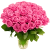 Phool 17
