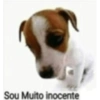 Oh lapada seca 25