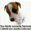 Oh lapada seca 23