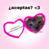 ❤️ Shitpost Amor ❤️ 9