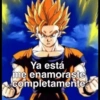 ❤️ Shitpost Amor ❤️ 10