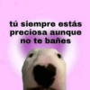 ❤️ Shitpost Amor ❤️ 14
