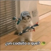 Fotos memes  27