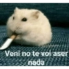 Gatitos chistosos  9