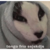Gatitos chistosos  24