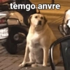 Nanicornio plus 14