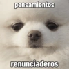 Nanicornio plus 19