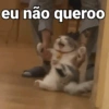VOCÊ PRECISA DESSAS🤣👇 5