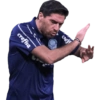 Treinadores - Clubes SP 2 10