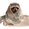 Mapache || by: Tofii 22