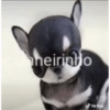 Hello 6
