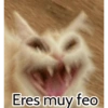 Graciosos🤣 20